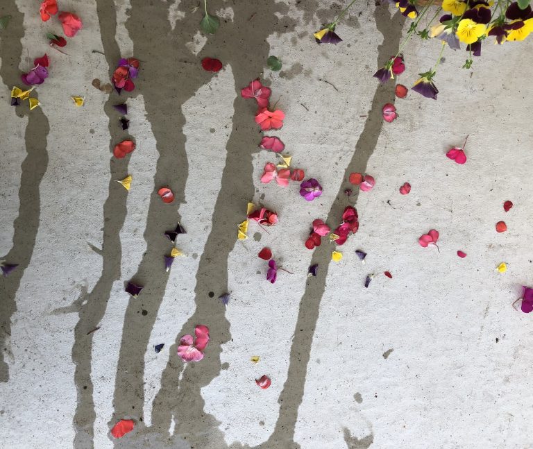 Daily Pearls Journal Dash of Spring